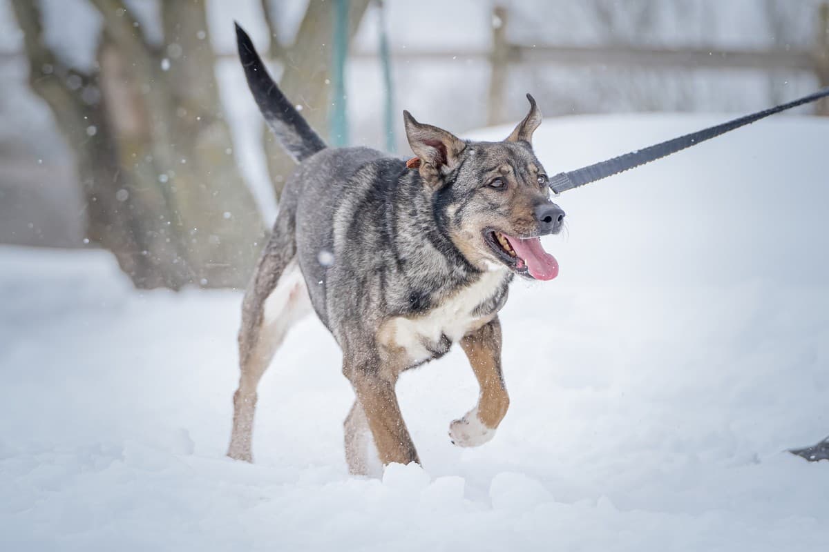 Мэри медиа 7