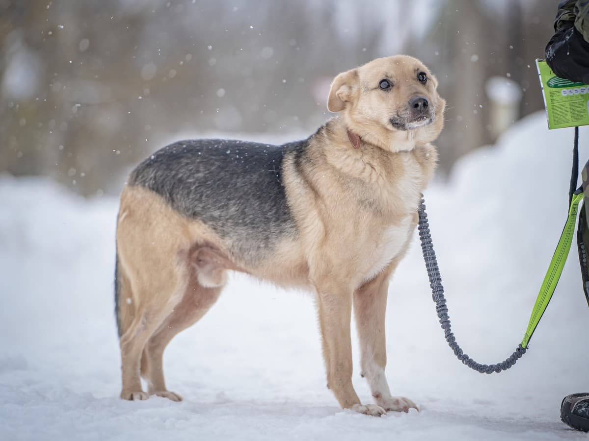 Джонни медиа 7