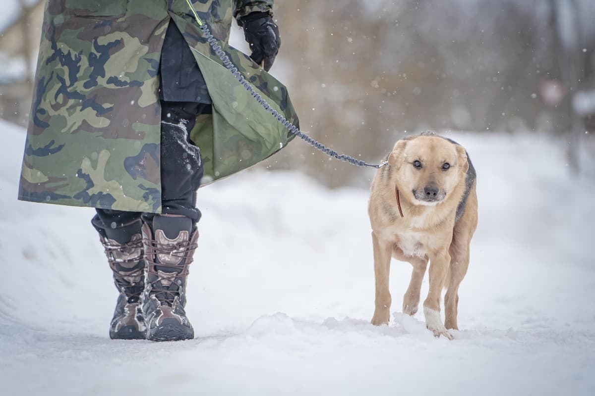 Джонни медиа 8