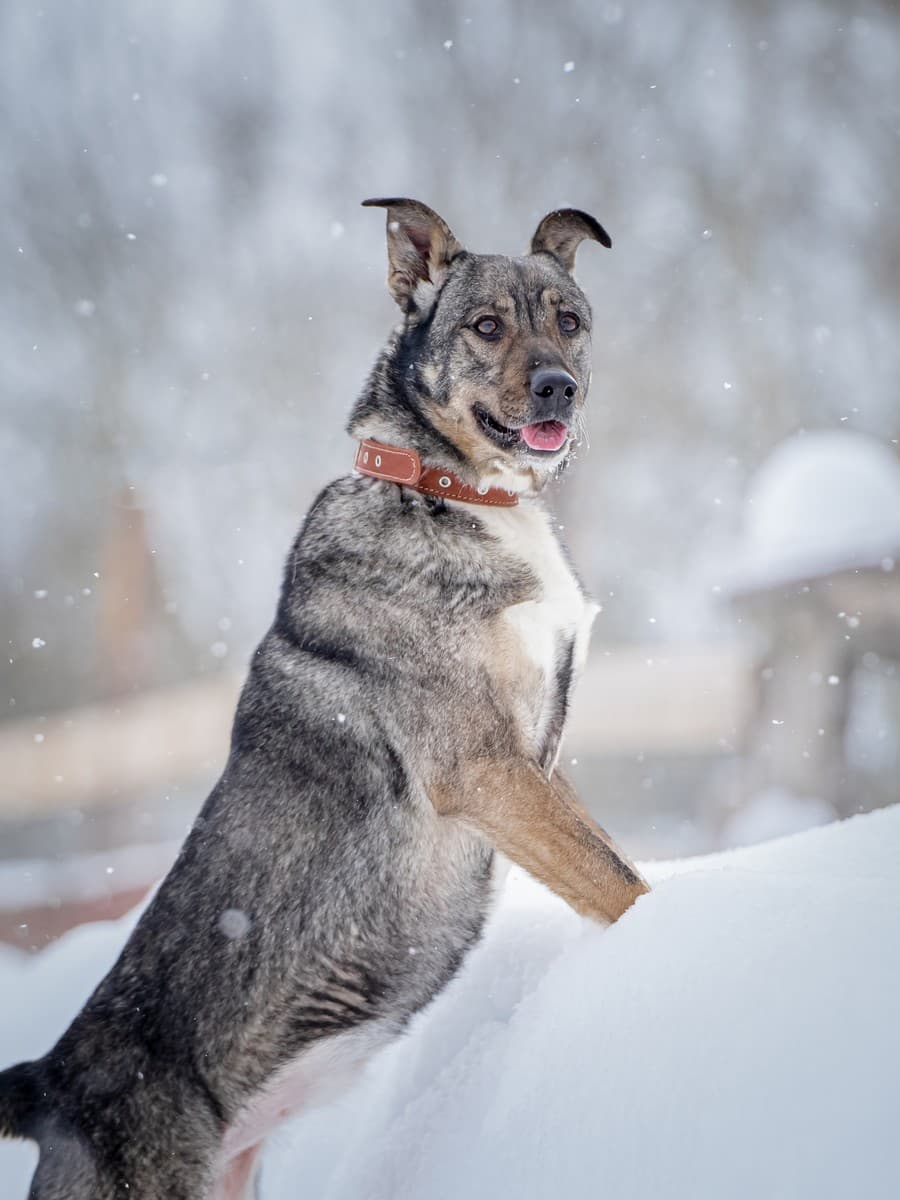 Мэри медиа 9