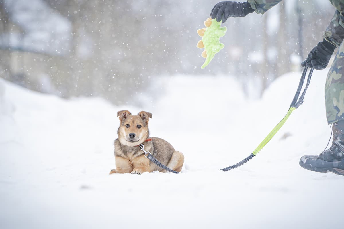 Нюша медиа 9