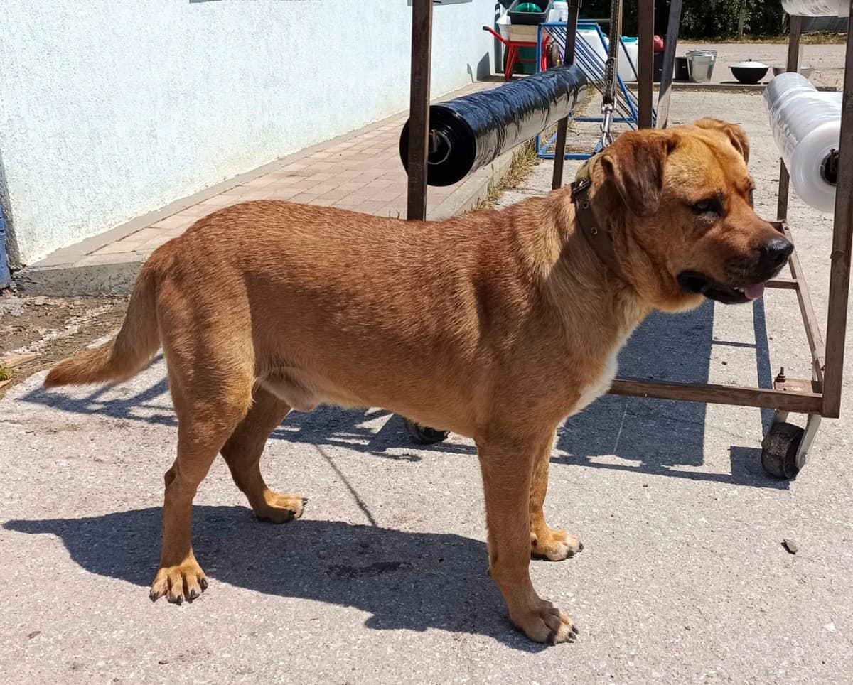 Бутч медиа 5