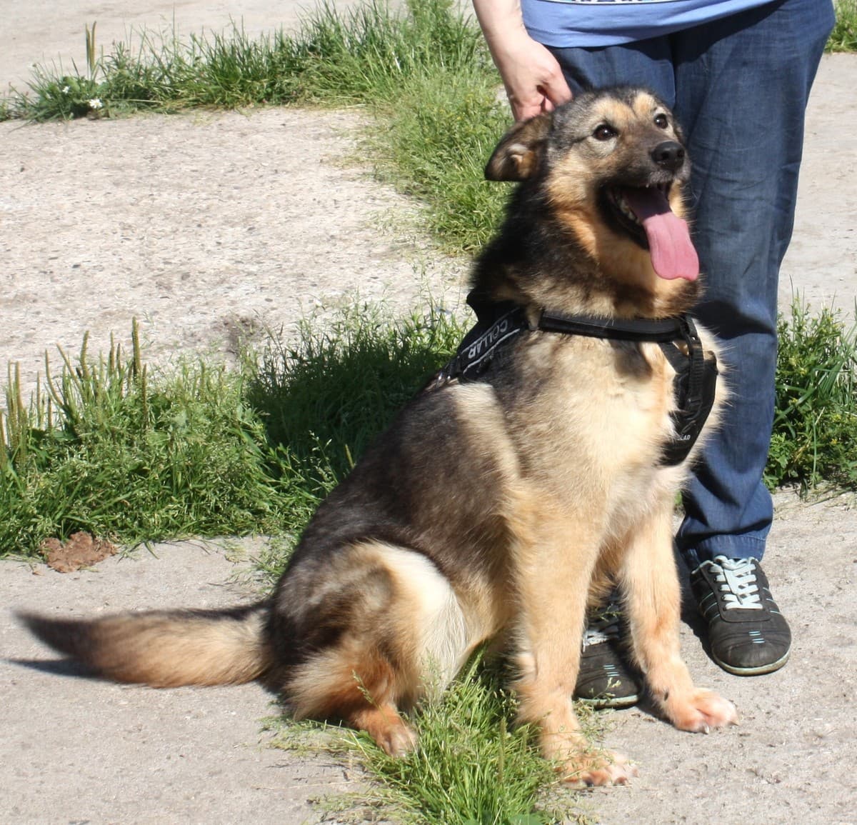 Тимоша медиа 4