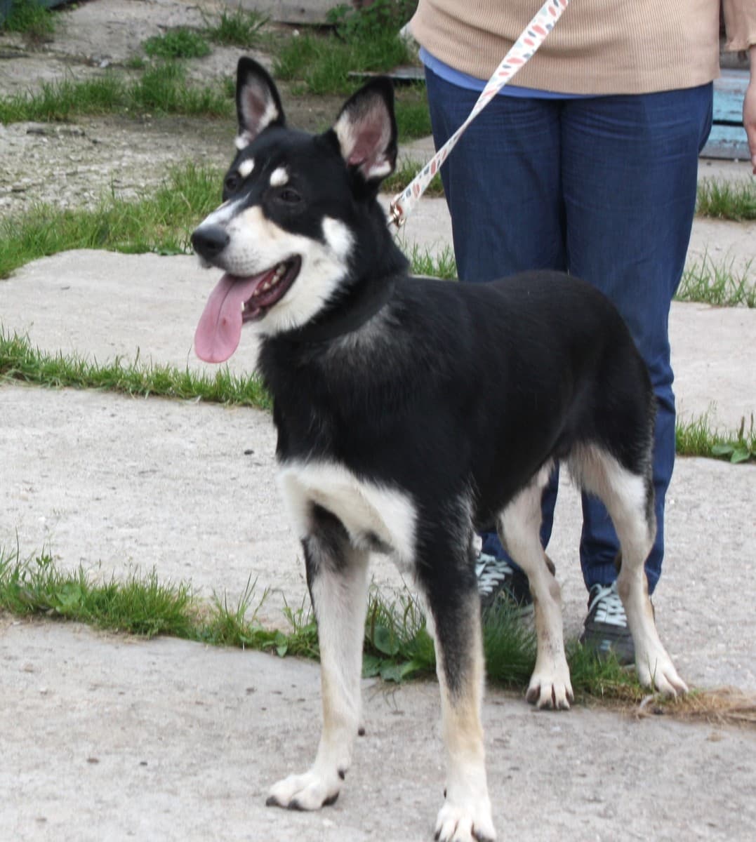 Кекс медиа 8