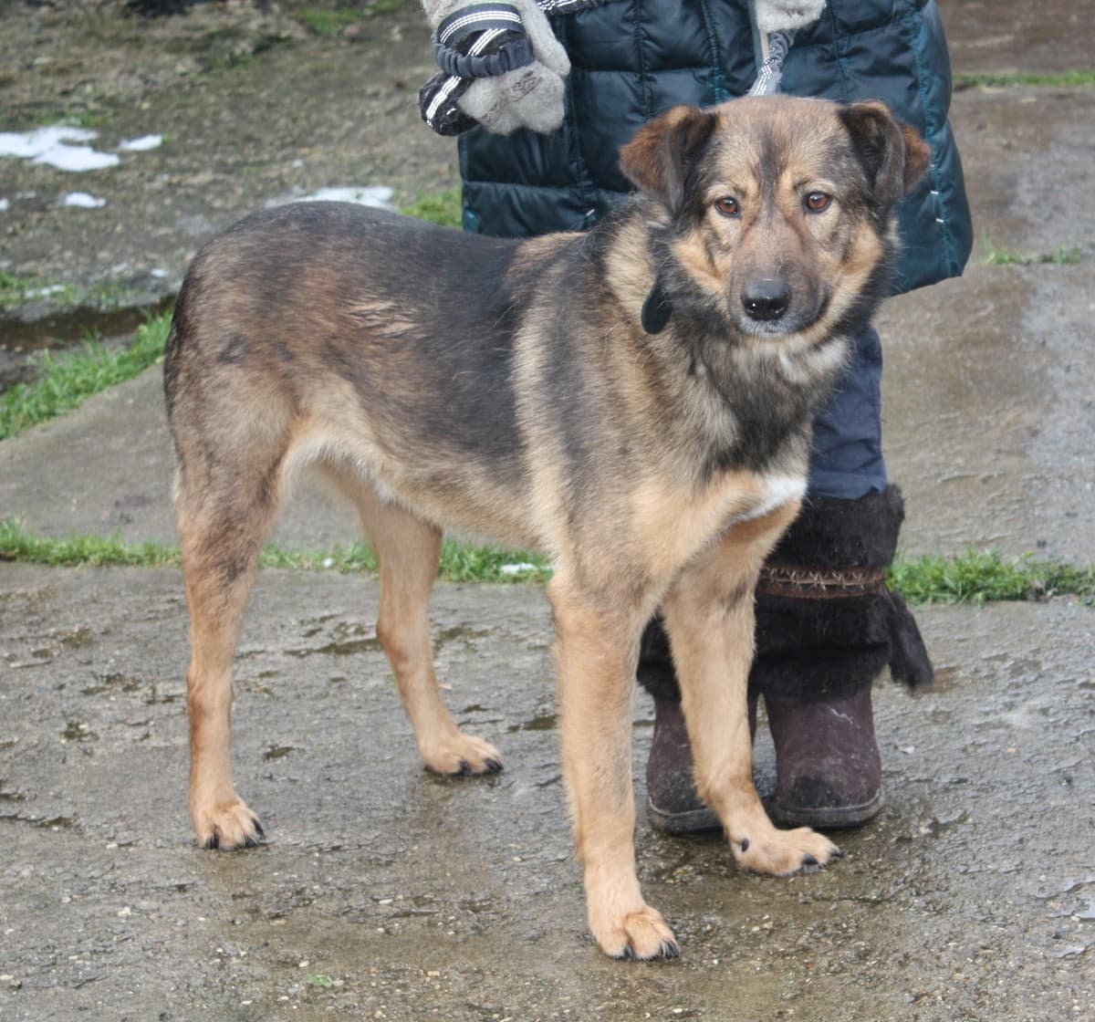 Тимка медиа 6