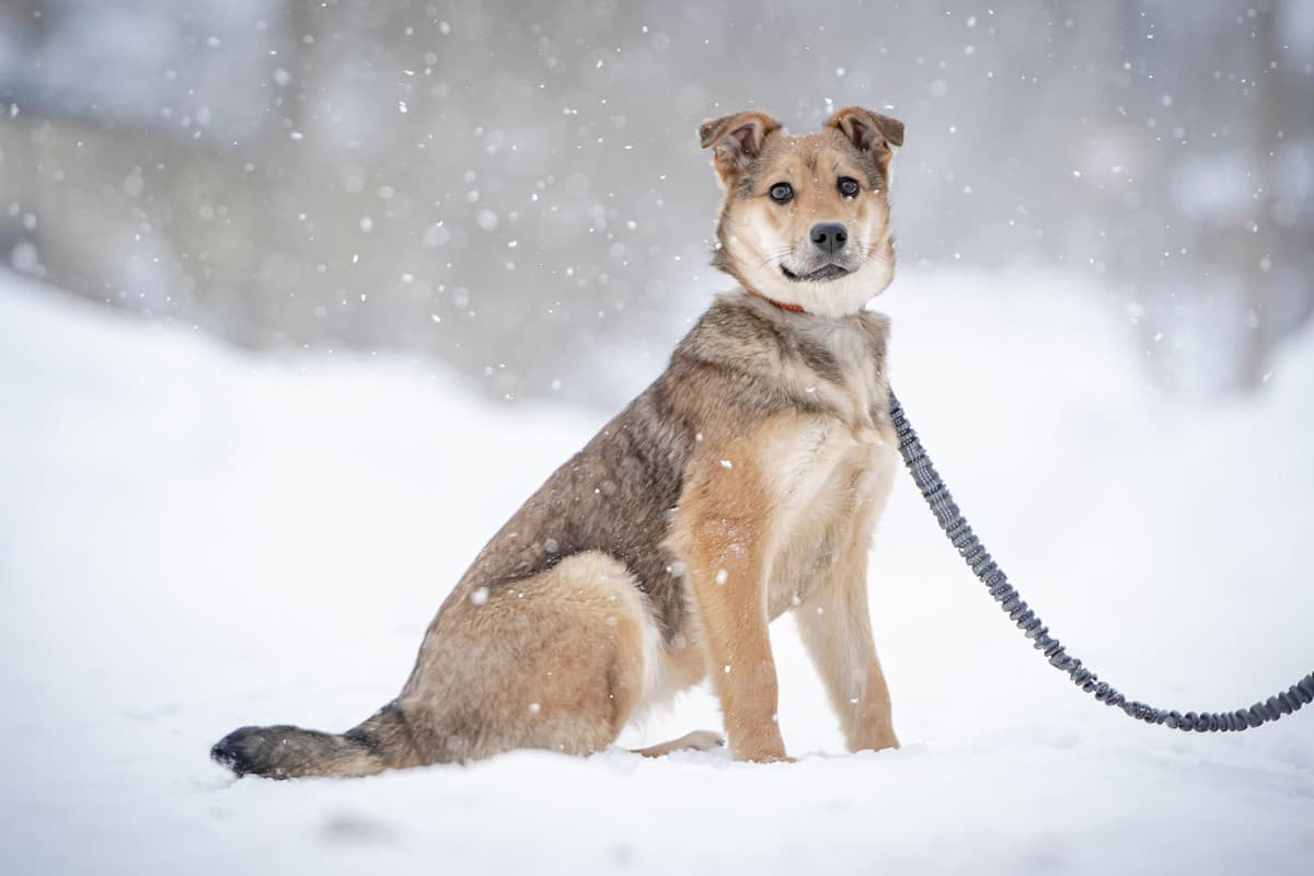 Нюша медиа 10