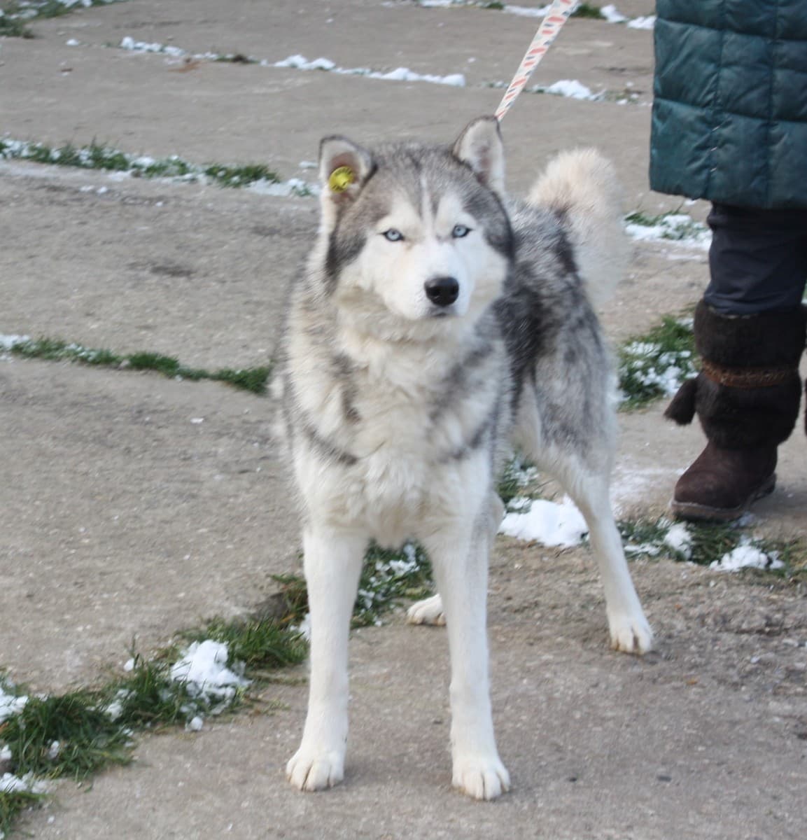 Бриз медиа 6