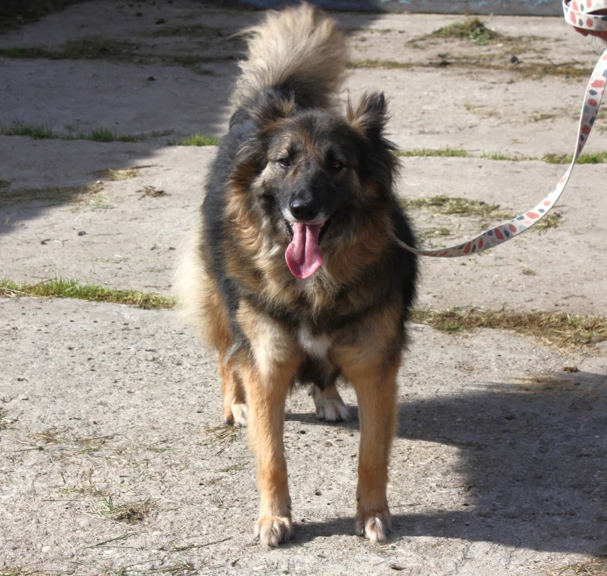 Люся медиа 6