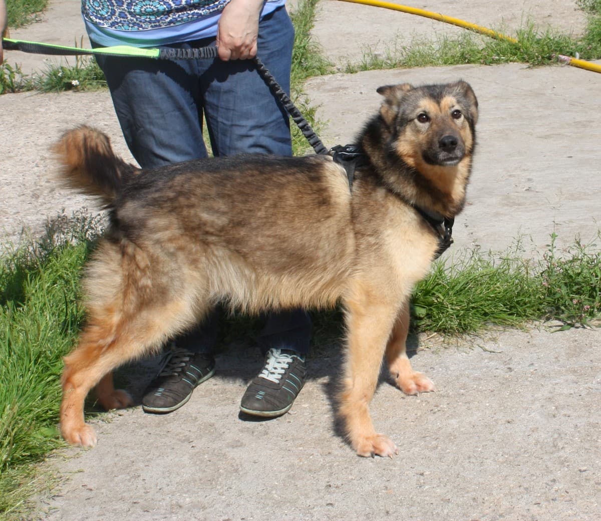 Тимоша медиа 9