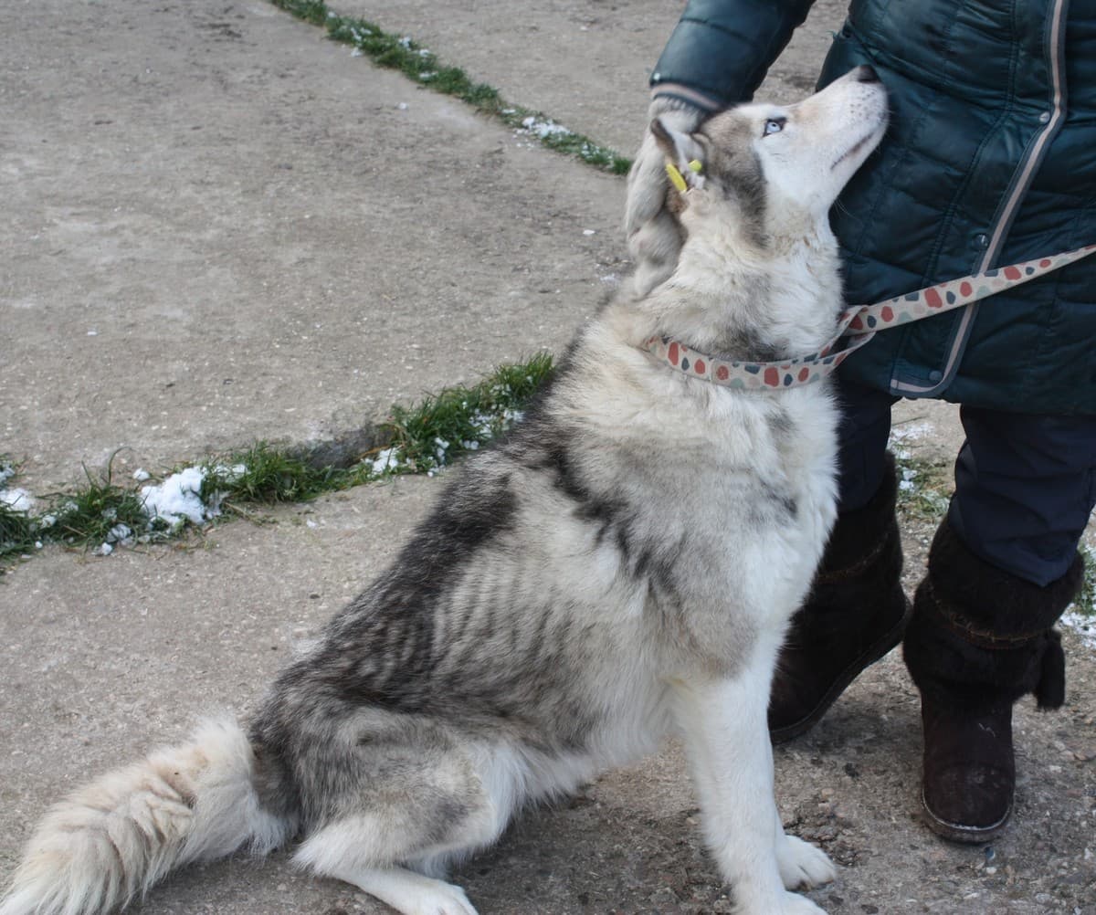 Бриз медиа 7