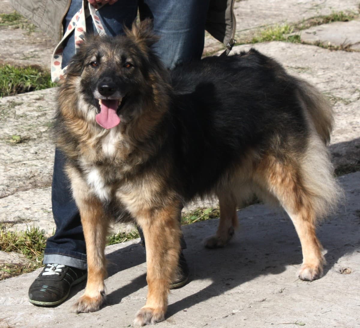 Люся медиа 7