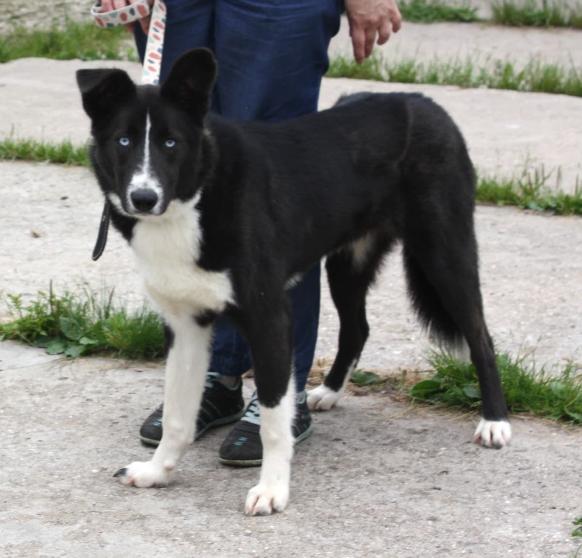 Байкал медиа 5