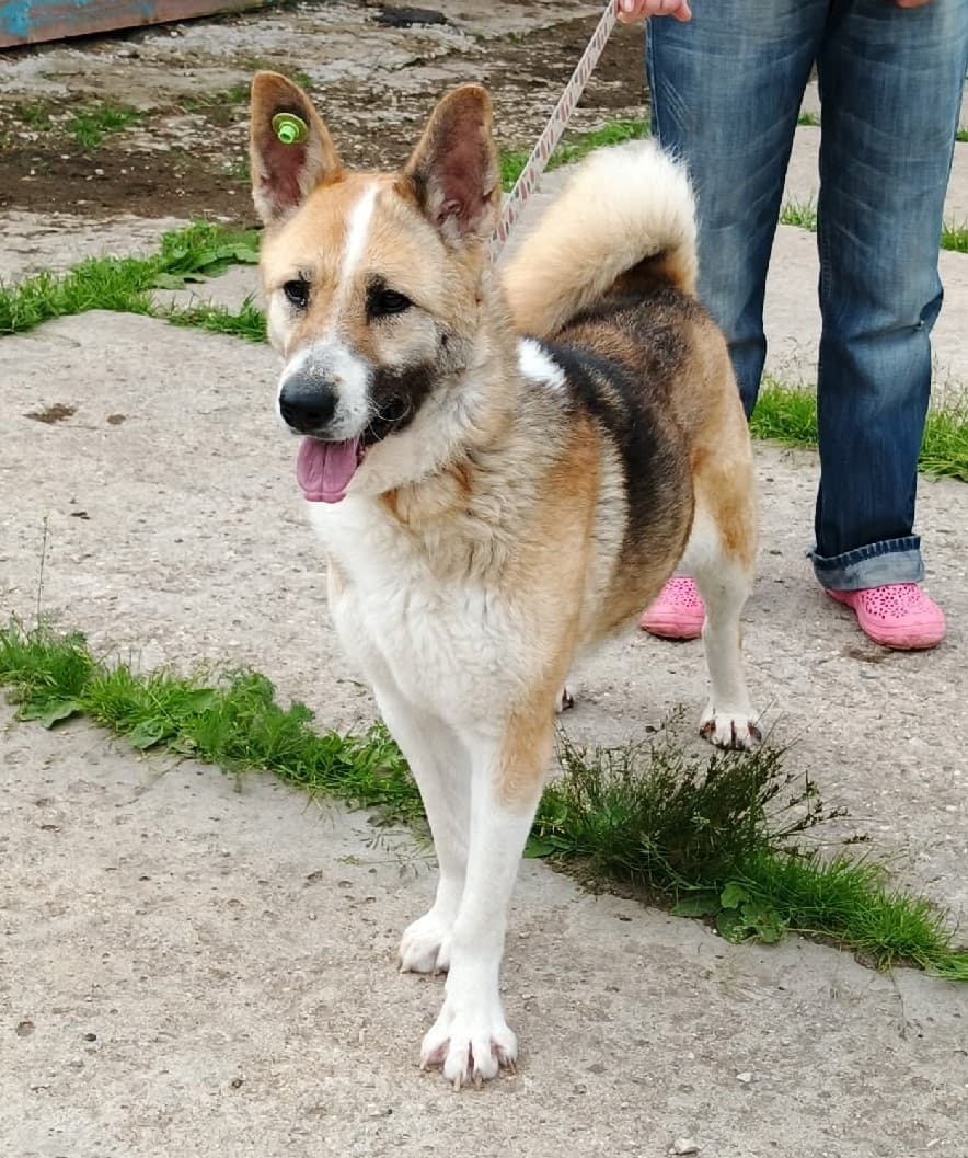 Зира медиа 7