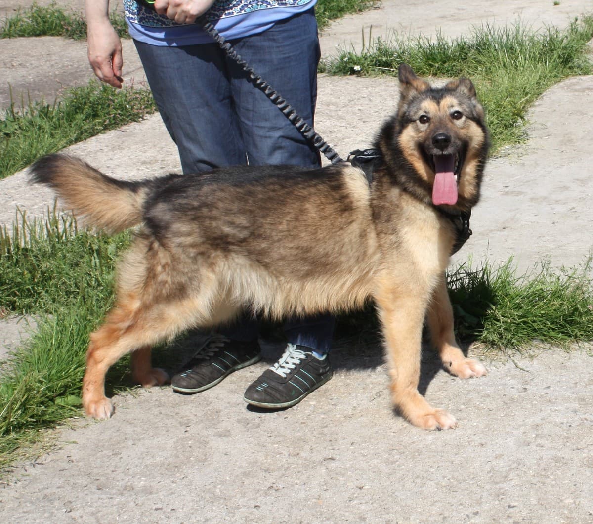 Тимоша медиа 5