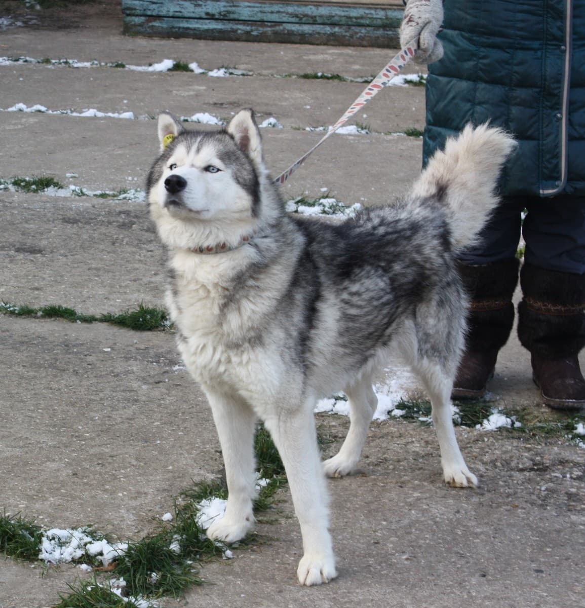 Бриз медиа 8