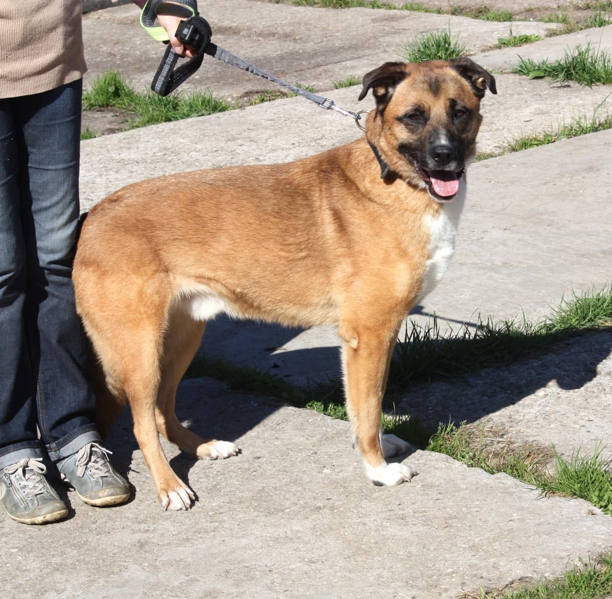 Тоша медиа 3