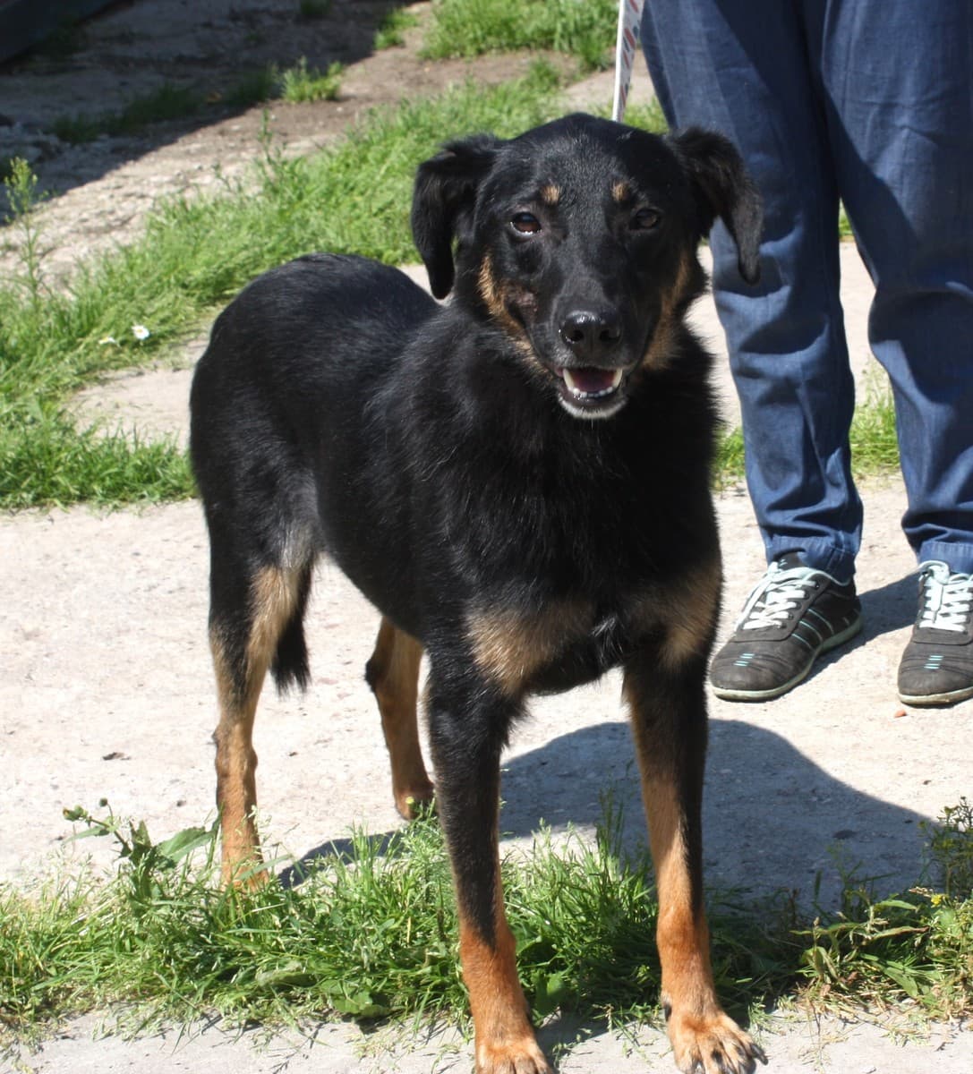 Альма медиа 3