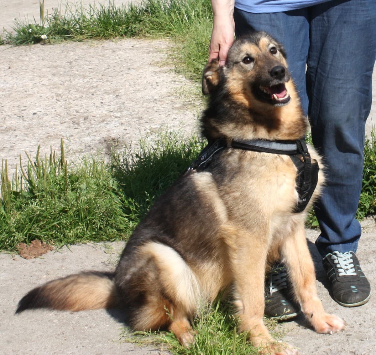 Тимоша медиа 6