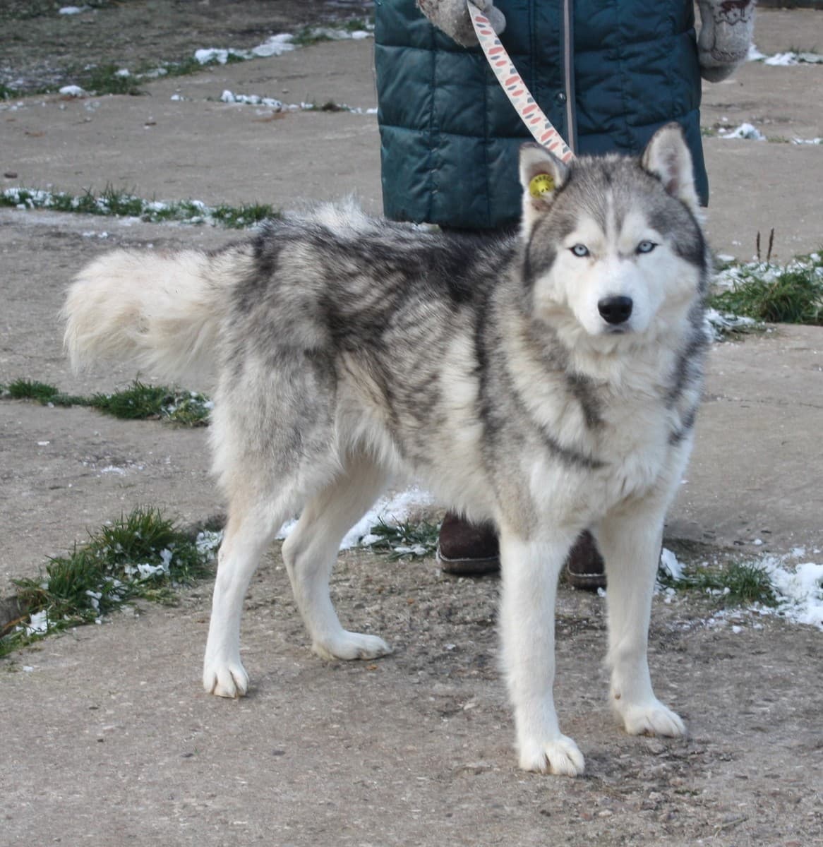 Бриз медиа 9