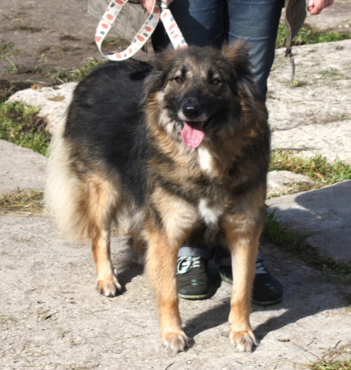 Люся медиа 8