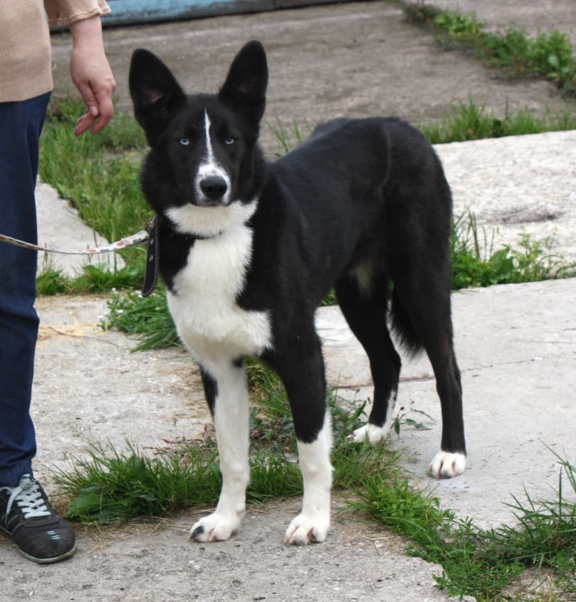 Байкал медиа 2