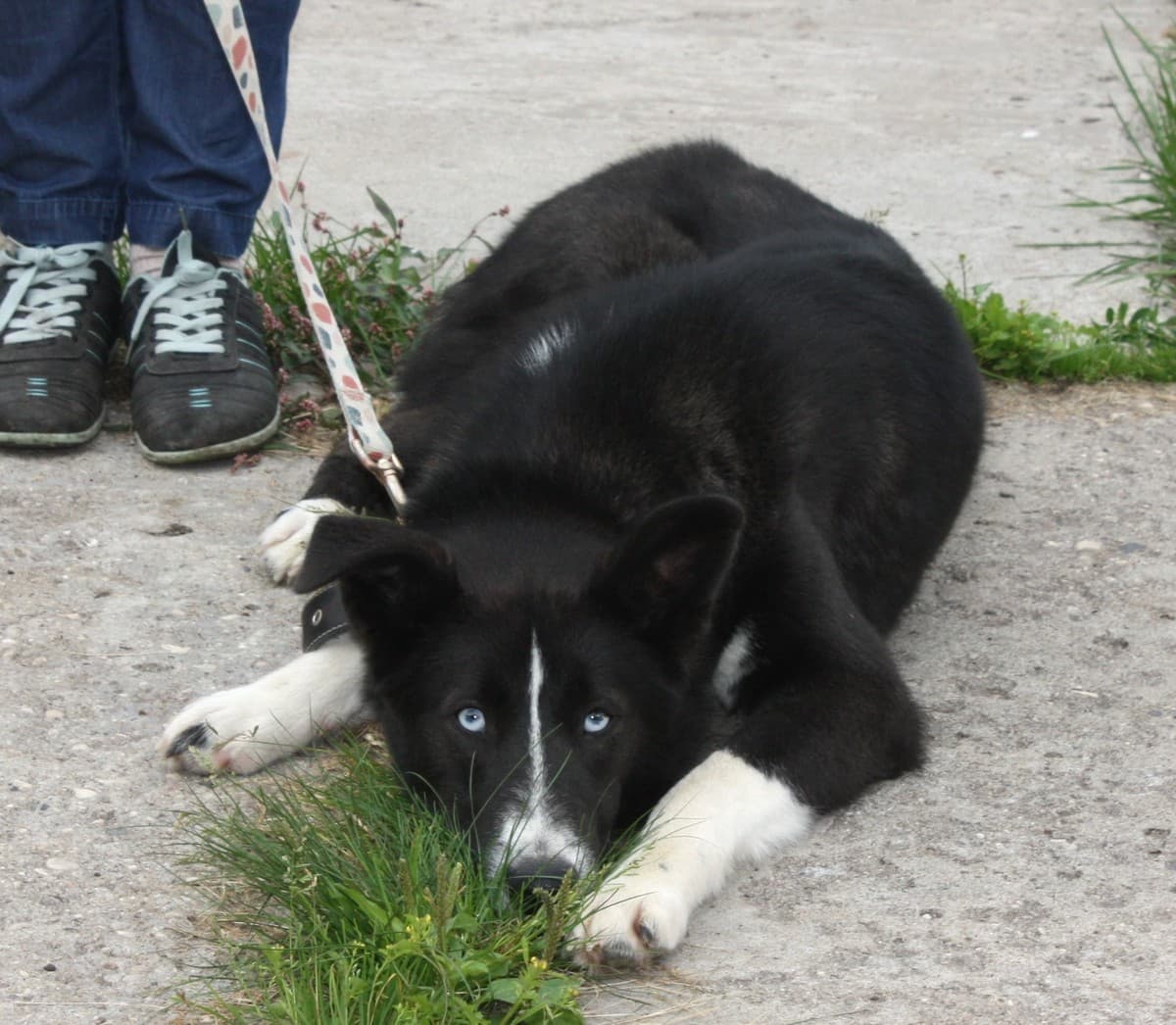 Байкал медиа 3