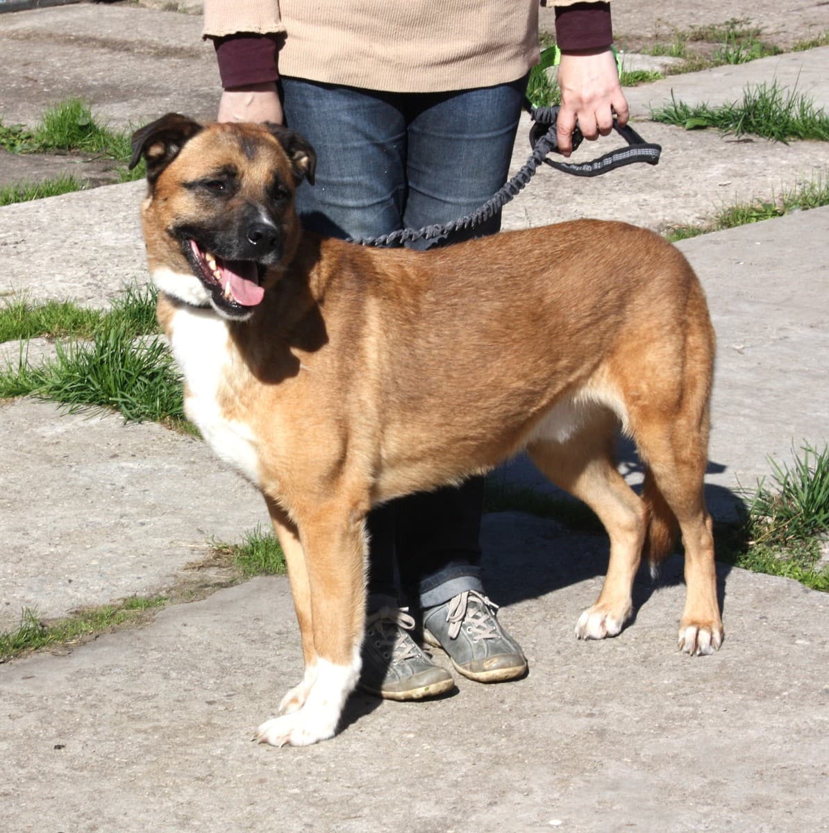 Тоша медиа 5