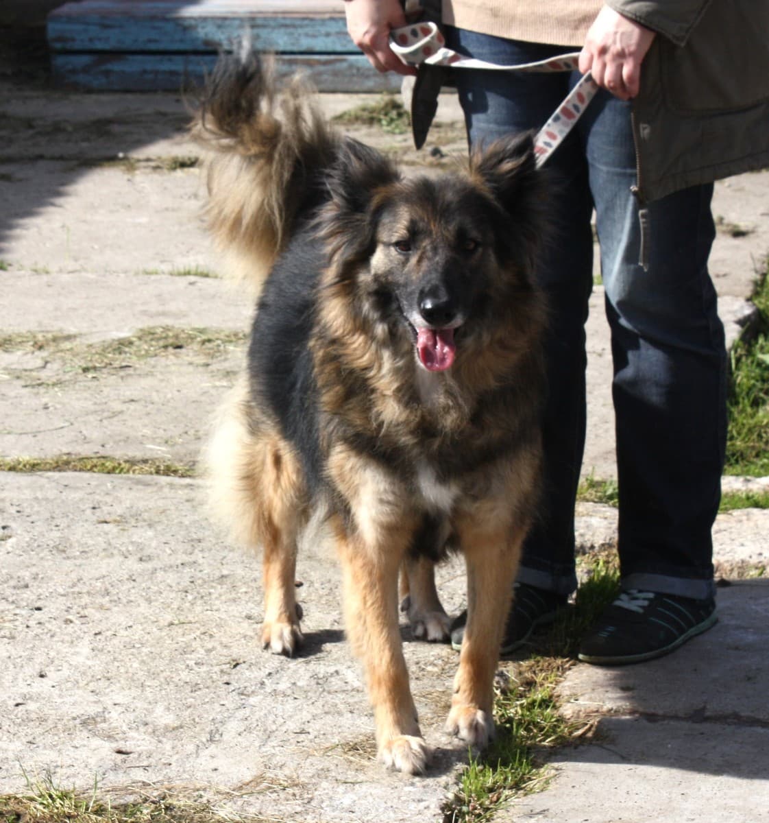 Люся медиа 9