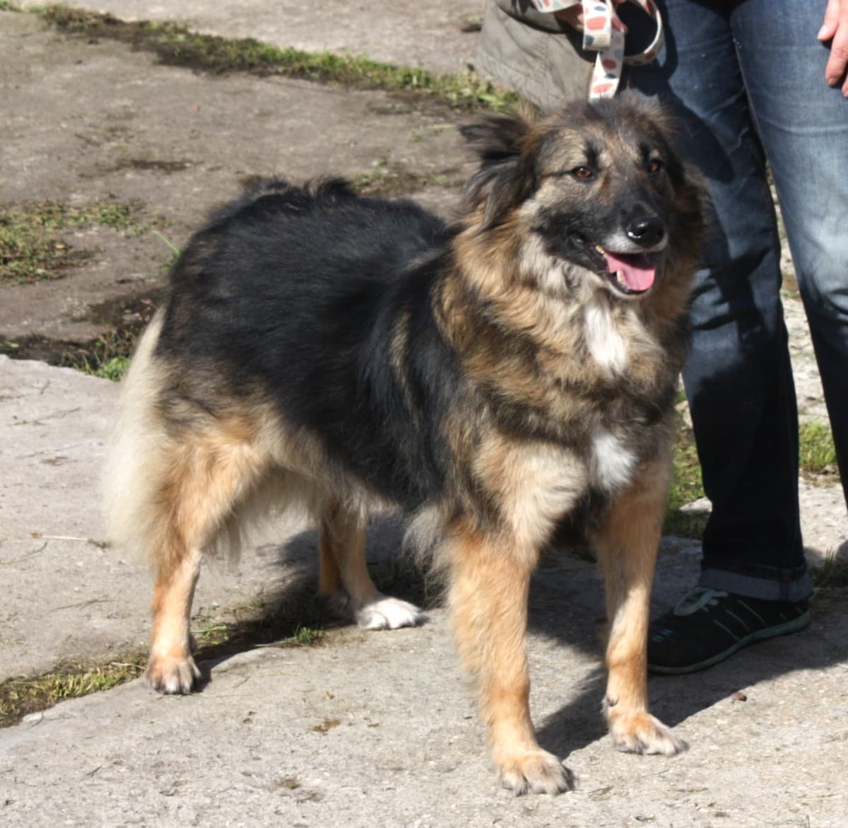 Люся медиа 10