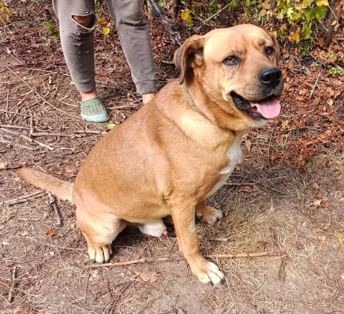 Бутч медиа 3