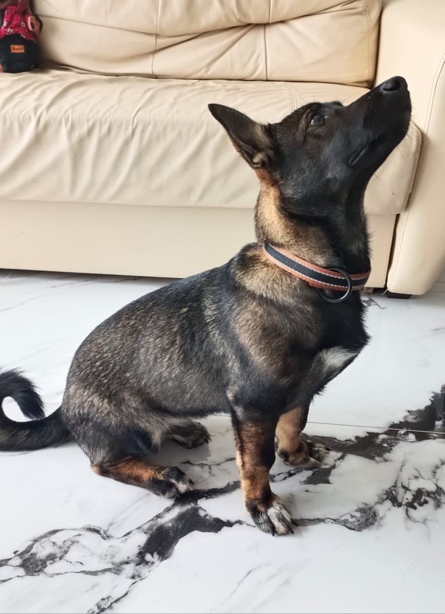 Марик медиа 5