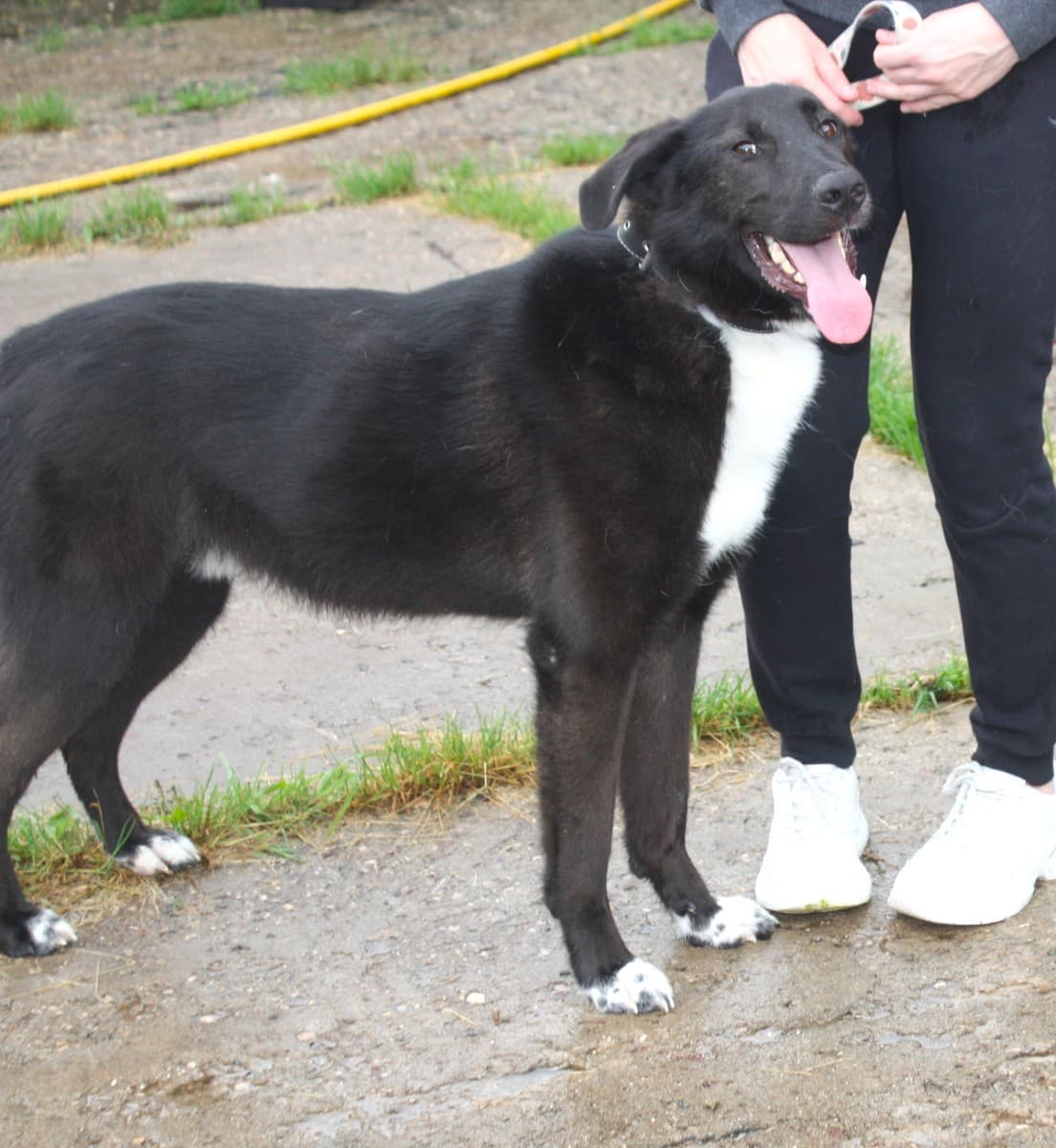 Туман медиа 5