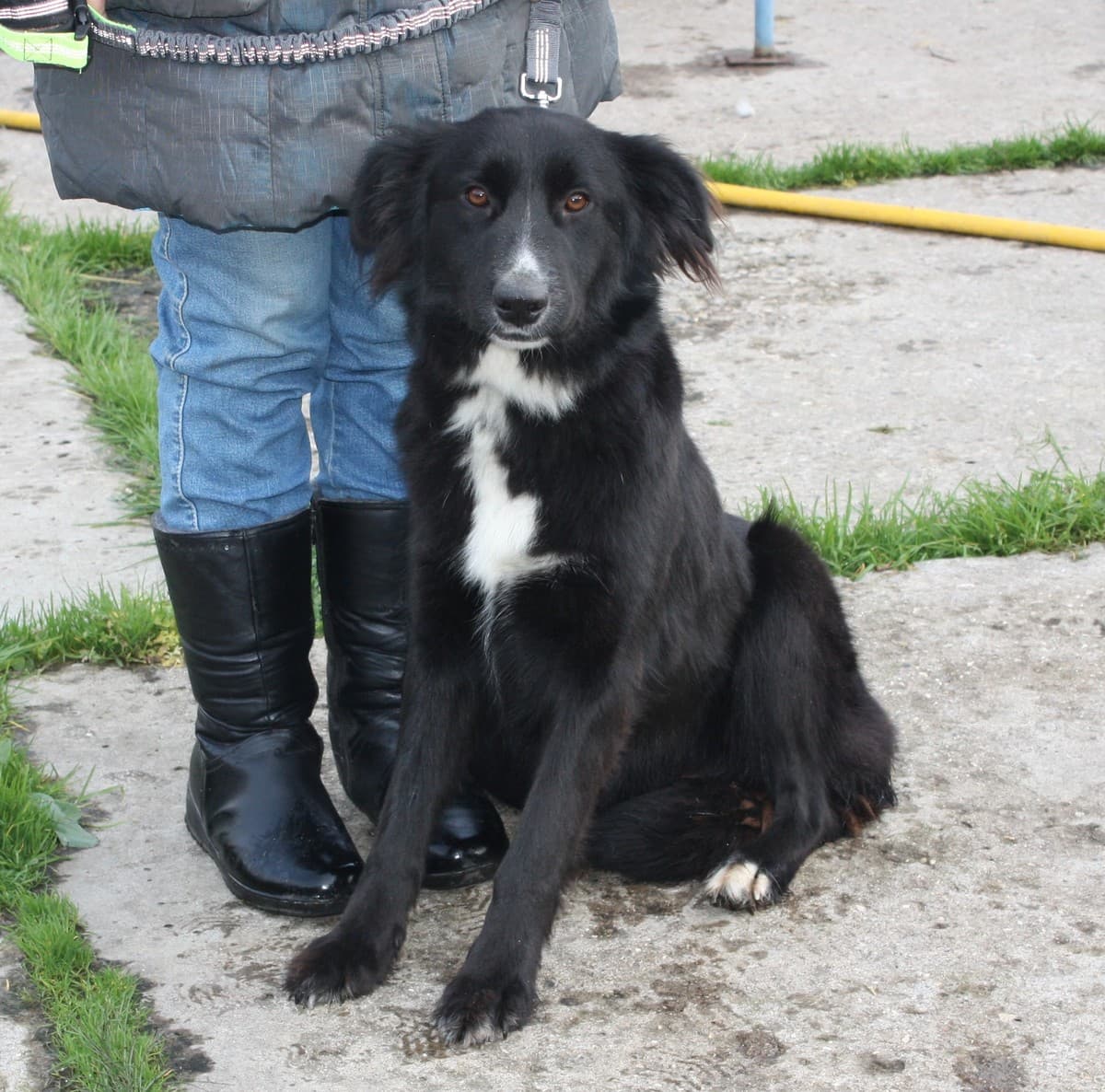 Оливка медиа 5