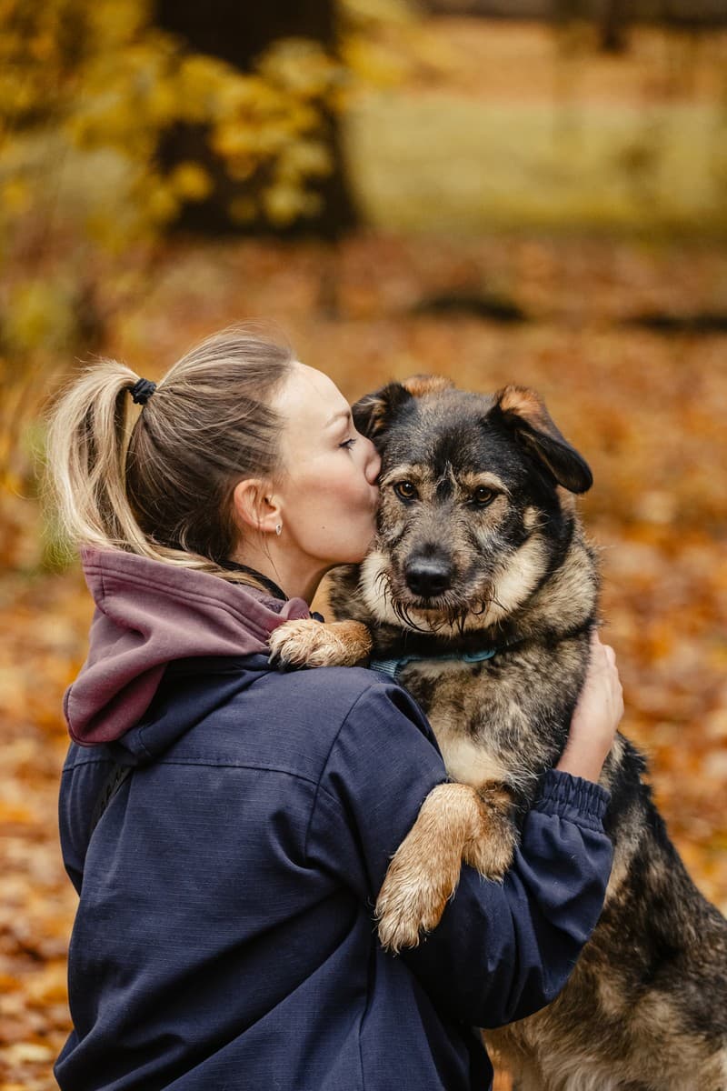 Фокс медиа 5