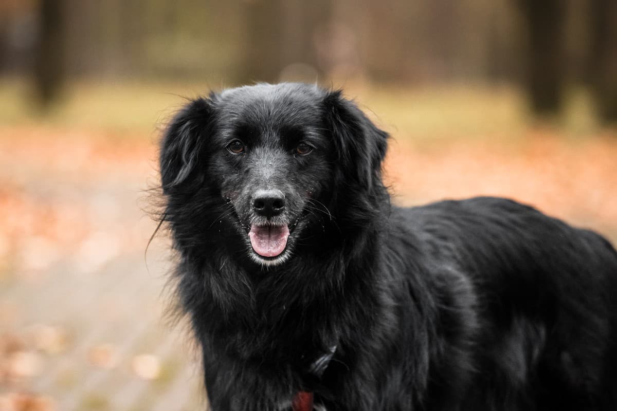 Нафаня медиа 2