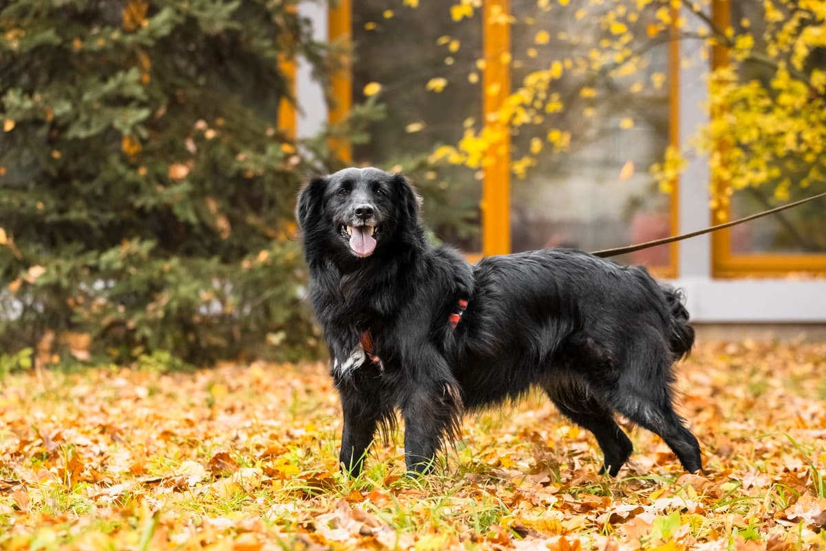 Нафаня медиа 6