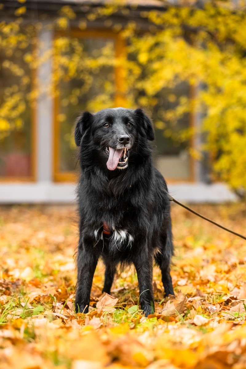 Нафаня медиа 7