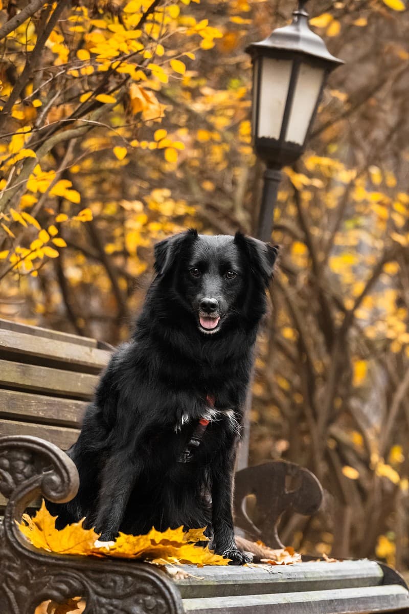 Нафаня медиа 8