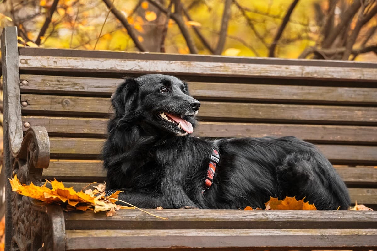 Нафаня медиа 9