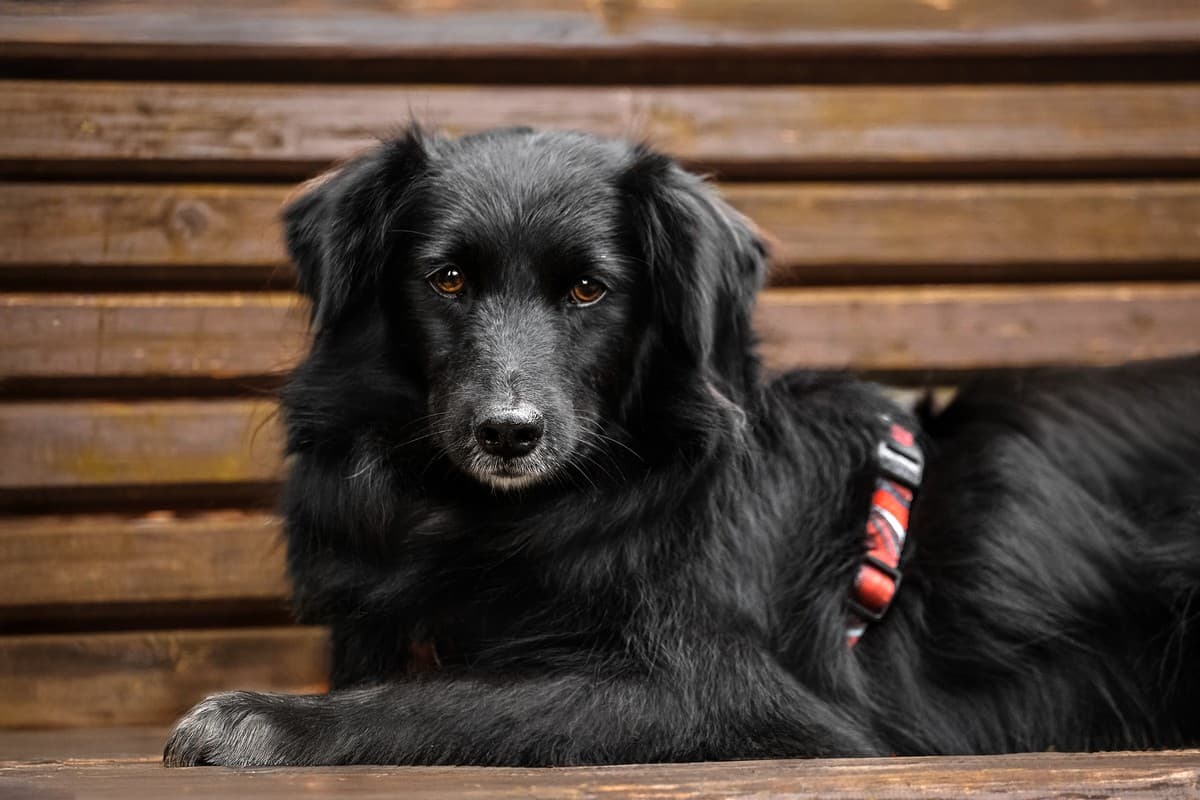 Нафаня медиа 10