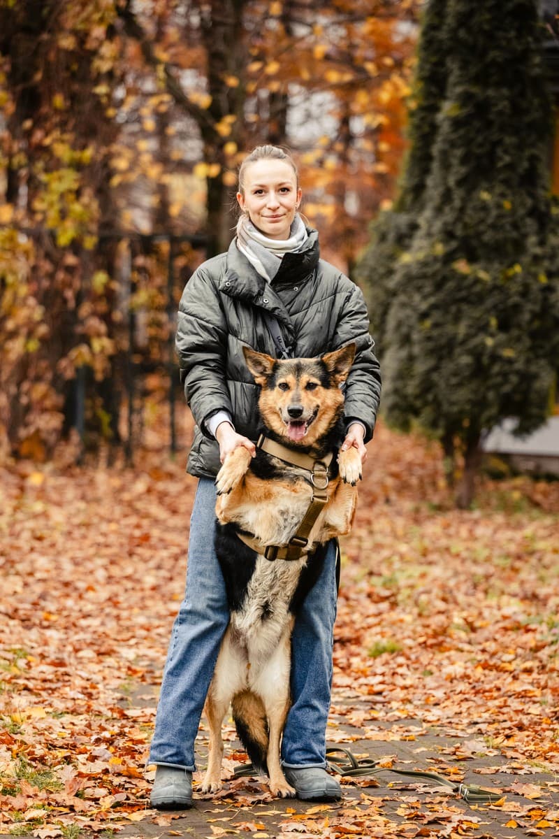 Эбби медиа 10