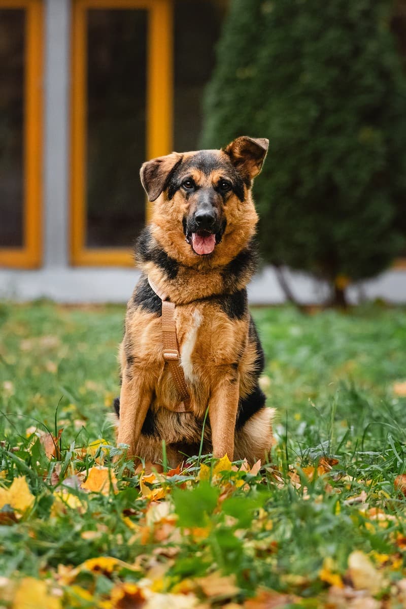 Фьючерс медиа 2