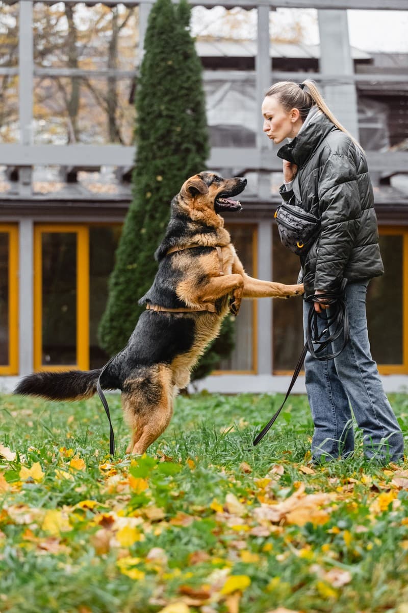 Фьючерс медиа 3