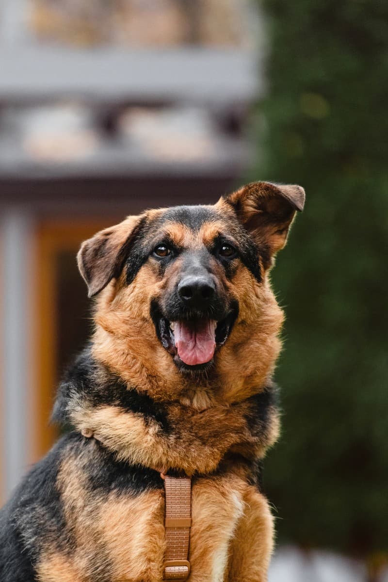 Фьючерс медиа 5