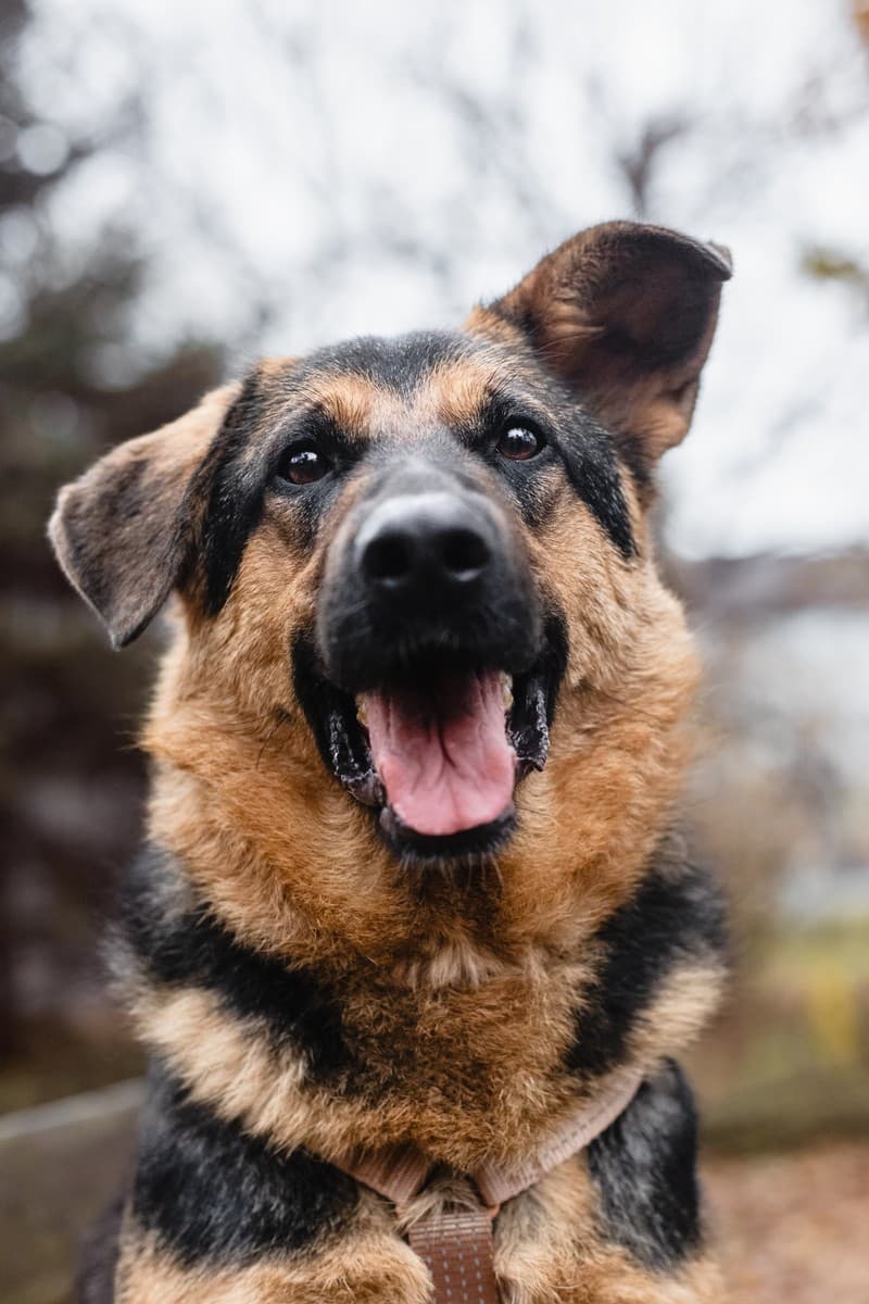 Фьючерс медиа 7