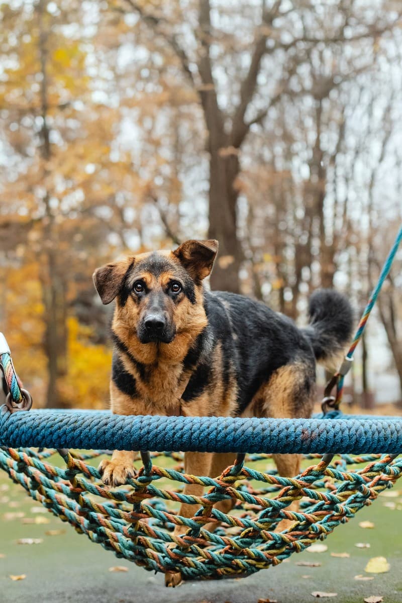 Фьючерс медиа 8