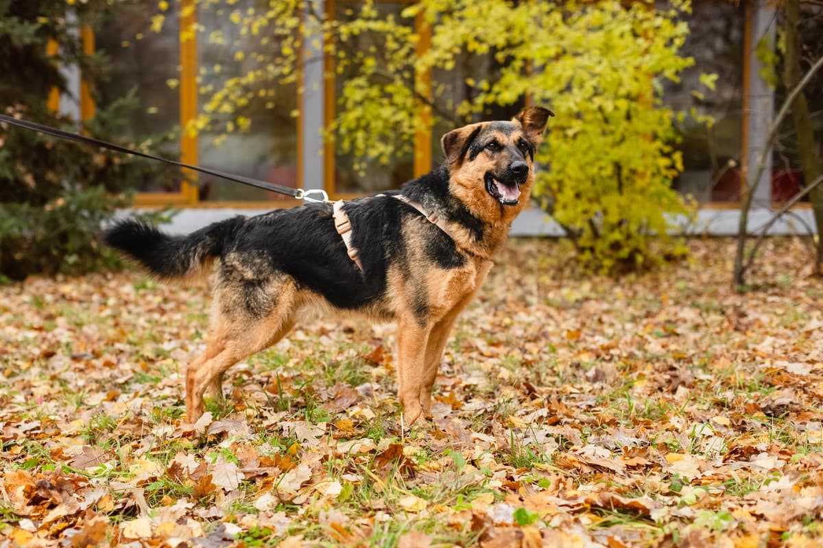 Фьючерс медиа 9