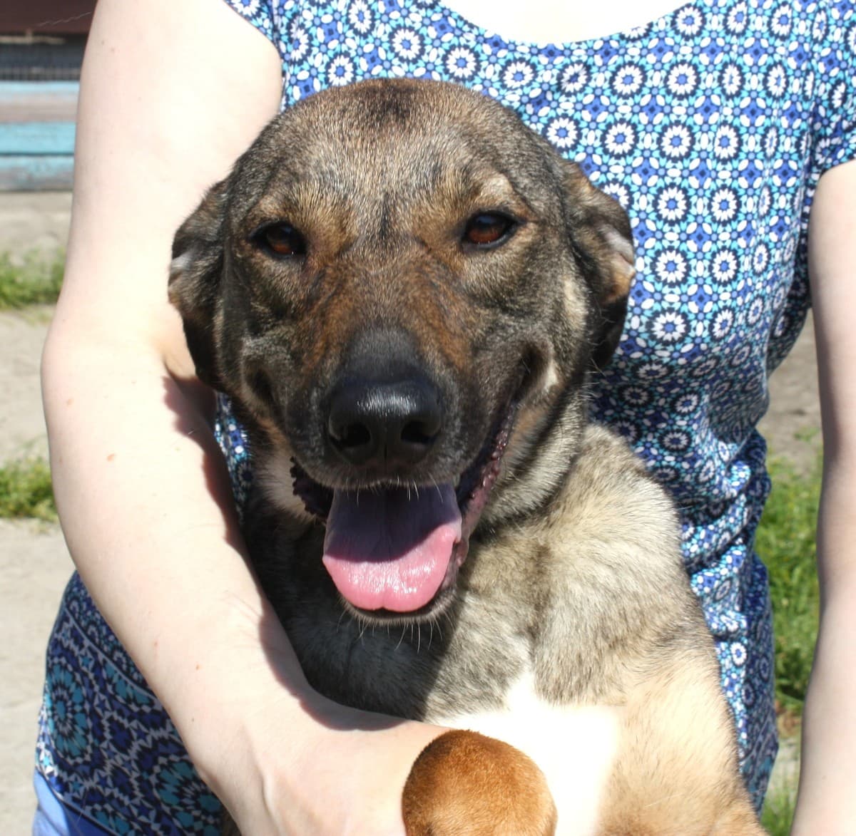 Стеша медиа 9