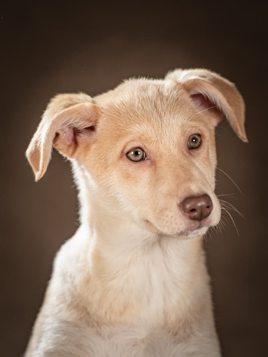 Мейбл медиа 8