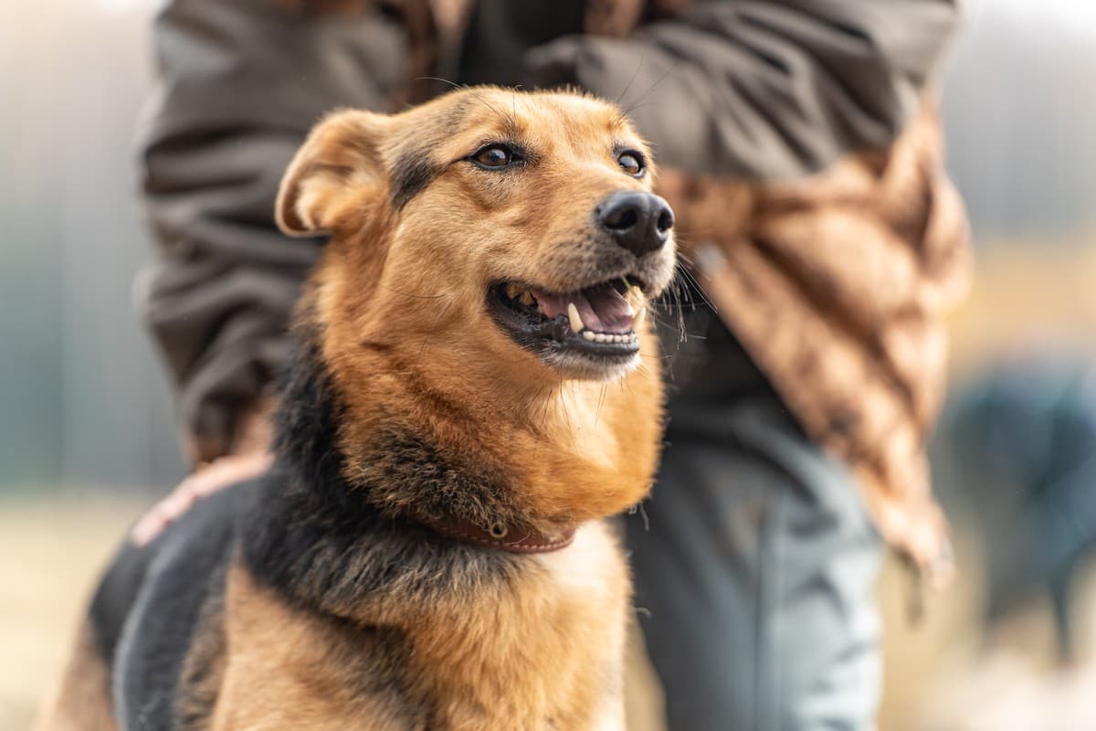 Эрика медиа 5